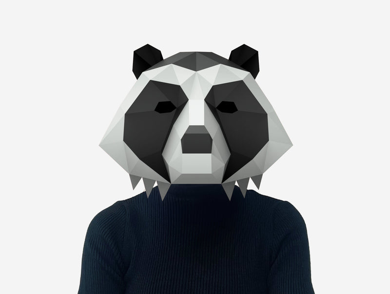 Racoon Mask <br> DIY Paper Mask Template