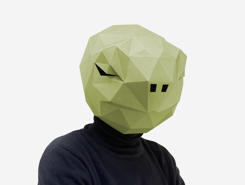 Turtle Mask <br> DIY Paper Mask Template