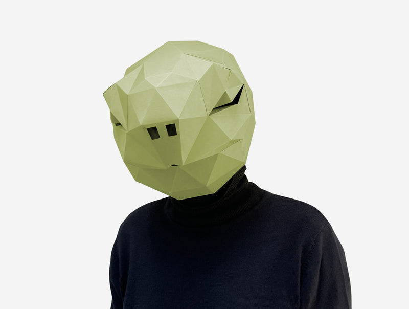 Turtle Mask <br> DIY Paper Mask Template